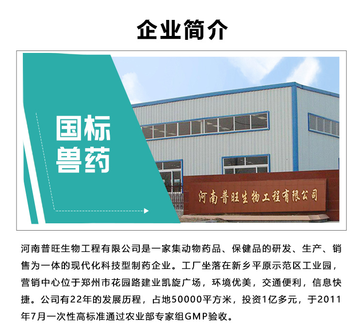 企業簡介