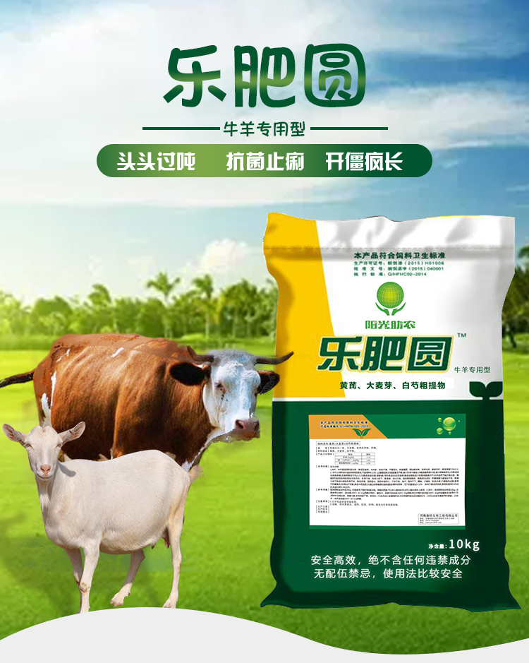 牛羊樂(lè)肥圓 普旺